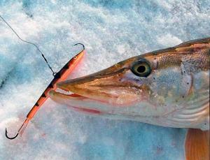 Щука на балансир