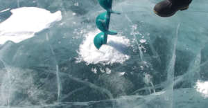 Лунки для ловли окуня