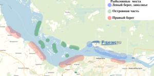 Рыбалка в Чебоксарах на волге - клевые места на островах, заволжье, правом береге