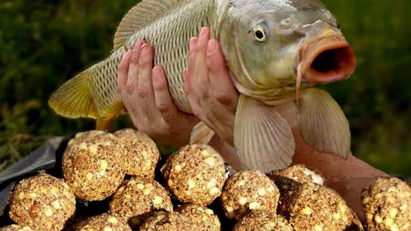karp-prikorm