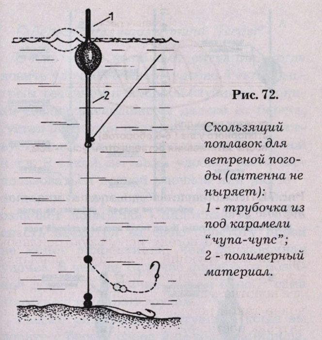 poplavok-carp