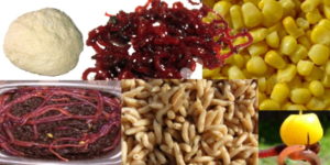 На что клюет карась весной