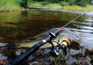 чем отличаются фидер от спиннинга