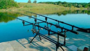 Фидер – снасть для ловли мирной рыбы