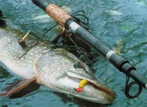 Какая приманка на щуку весной и летом на спиннинг лучшая