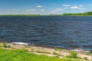 Прогноз клева рыбы в Тамбовской области и Тамбове, Мичуринске