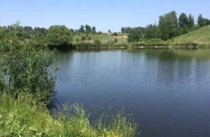 Прогноз клева рыбы в Белгородской области и Белгороде на 14 дней