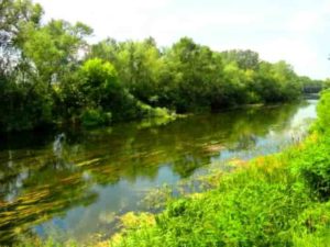 Прогноз клева рыбы в Челябинской области и Челябинске