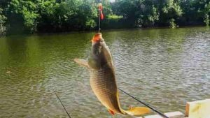 Прогноз клева в Константиновске Ростовской области