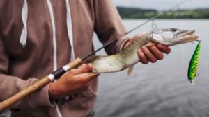 Прогноз клева на завтра, 5 дней, неделю и 14 дней в Белгородской области