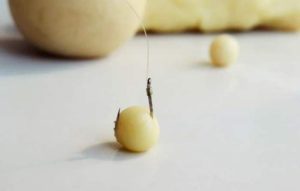 Рецепт мастырки из манки, гороха, муки, кукурузы на карася, карпа