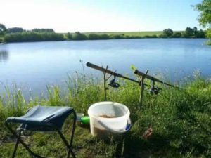 Прогноз клева в Тамбовской области и календарь клева