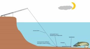 Как сделать снасти для ловли сома с берега на течении