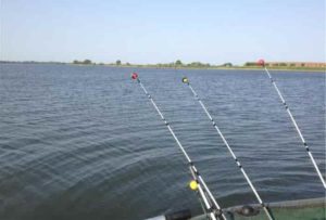 Прогноз клева в Рогожкино Ростовской области