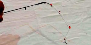 Боковой кивок для летней рыбалки – ловля