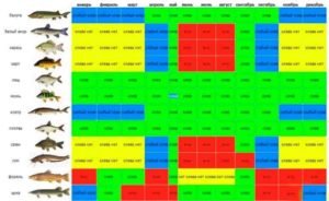 Подробный прогноз клева всех видов рыб на сегодня, завтра, 3 дня и 10 дней
