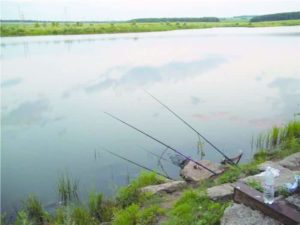 Прогноз клева карася на сегодня, завтра, неделю, 7 дней