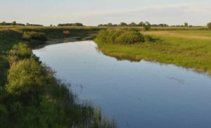 Прогноз клева рыбы в Новосибирске и Новосибирской области, на Оби