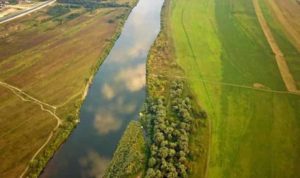 Прогноз клева карася на сегодня, завтра, неделю, 7 дней