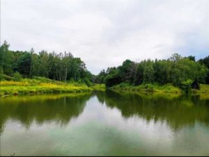 Рыбалка в Вишенках Тульская область