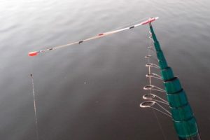 Боковой кивок для летней рыбалки – ловля