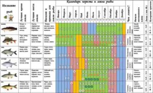Подробный прогноз клева всех видов рыб на сегодня, завтра, 3 дня и 10 дней