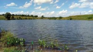 Пруд «Белые дворы»