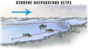 Подробный прогноз клева всех видов рыб на сегодня, завтра, 3 дня и 10 дней