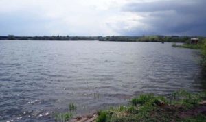 Точный прогноз клева карася в Подмосковье, Кемерово, Уфе, Москве