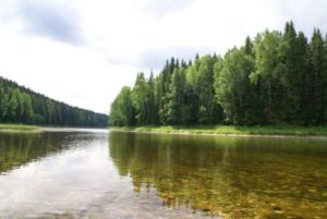 Прогноз клева рыбы в Пермском крае и Перми сегодня, завтра, неделю