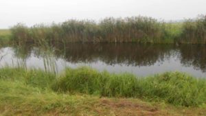 Прогноз клева рыбы в Омске на Иртыше на сегодня, завтра, неделю