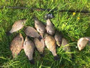 Прогноз клева в Липецкой области на сегодня, завтра, неделю