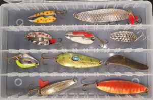 Прогноз клева рыбы в Рязани на Оке на неделю, 3-5 дней