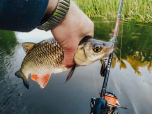 Прогноз клева в Самаре на 5 дней, завтра, неделю, точный