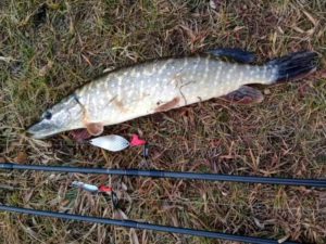 Прогноз клева рыбы в Магнитогорске на сегодня, завтра, 3-5 дней, неделю