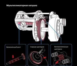 Мультипликаторные катушки для спиннинга ТОП 10 рейтинг лучших