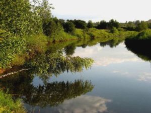 Прогноз клева рыбы в Ярославской области и Ярославле на неделю