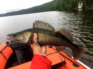 Прогноз клева рыбы в Башкортостане Октябрьский на завтра, неделю