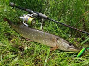 Прогноз клева рыбы в Удмуртии, Красногорск, Кама, Ува на неделю