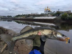 Прогноз клева в Тюмени и области на завтра, 3 дня, неделю