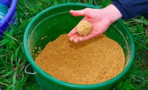 Почему не клюет рыба: окунь, щука, карась, причины плохого клева