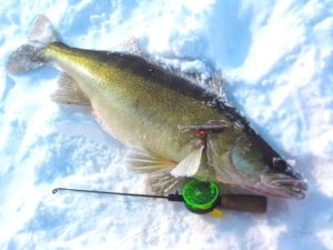 Ловля зимой со льда леща, судака, карася, окуня, рыбалка