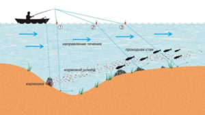 Ловля леща на течении снасти с берега и лодки