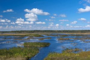 Карта озер Ленинградской области для рыбалки, купания с дорогами