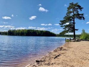 Карта озер Ленинградской области для рыбалки, купания с дорогами