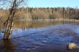 Реки с весенним половодьем в России, какие относятся, список
