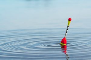 Почему не клюет рыба: окунь, щука, карась, причины плохого клева