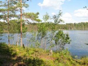 Карта озер Ленинградской области для рыбалки, купания с дорогами