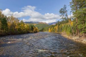 Реки с Летним половодьем в России таблица, примеры, список