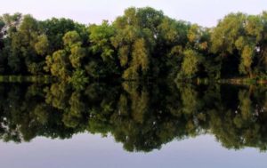 Уровень воды в Оке на сегодня